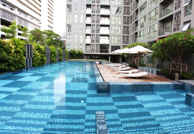 Pool Tiles - Pavé Tile Co