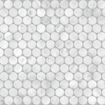 Carrara Penny