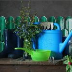 green image 3