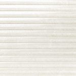 BONE GROOVE