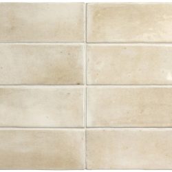 COCO CANVAS GLOSS 50X15CM
