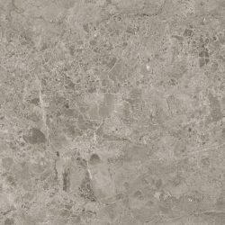 ALCHIMIA LIGHT GREY MAT 60X60CM